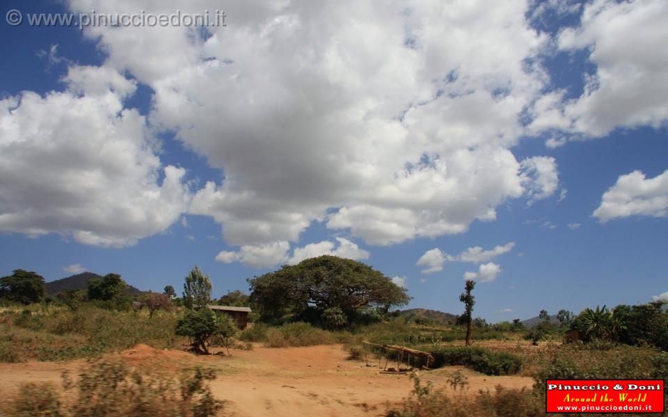 Ethiopia - Sulla strada per Turni - 15.jpg